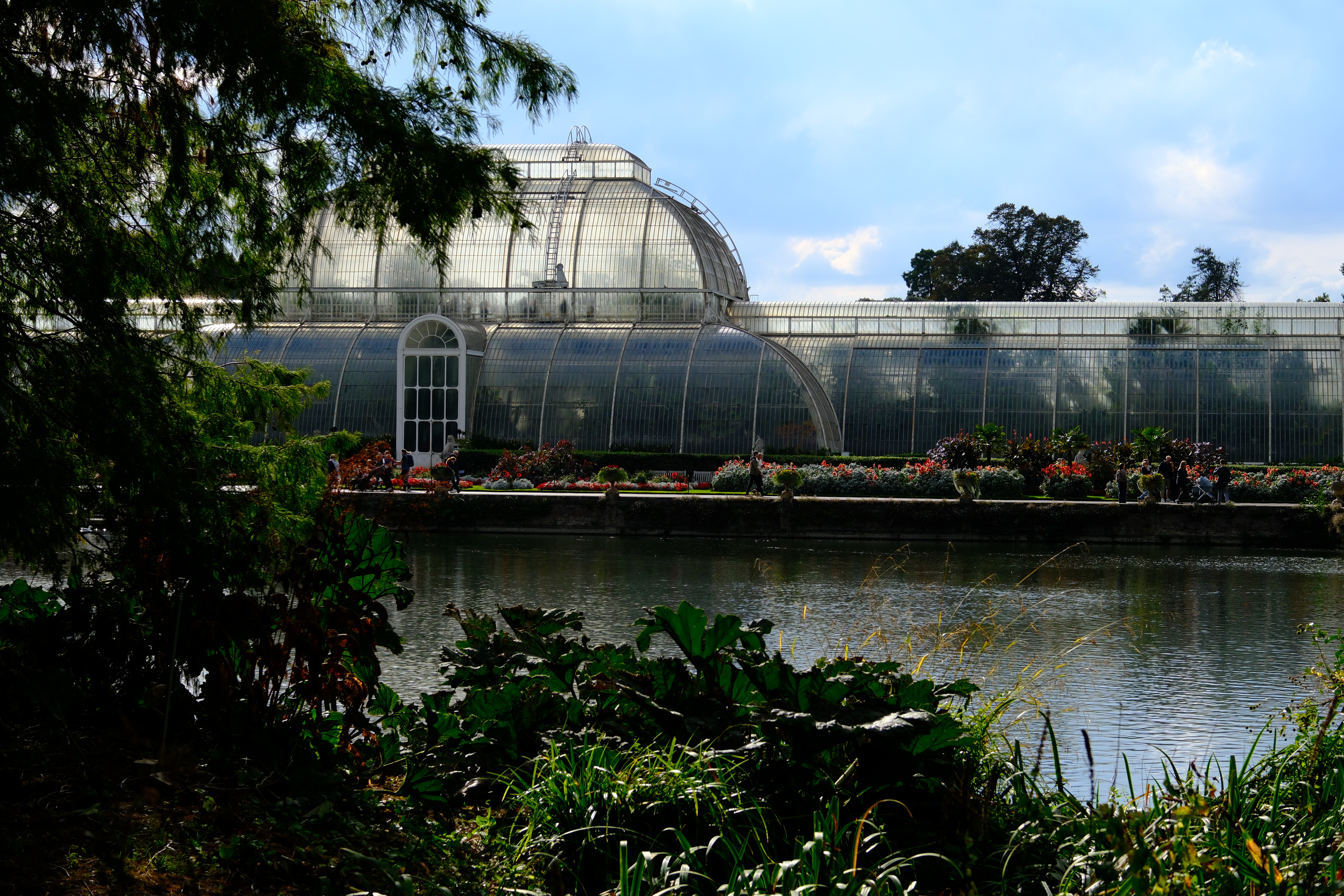 Kew 25